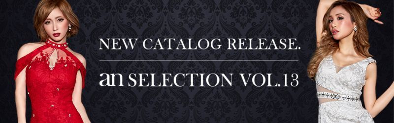 an selection vol.13